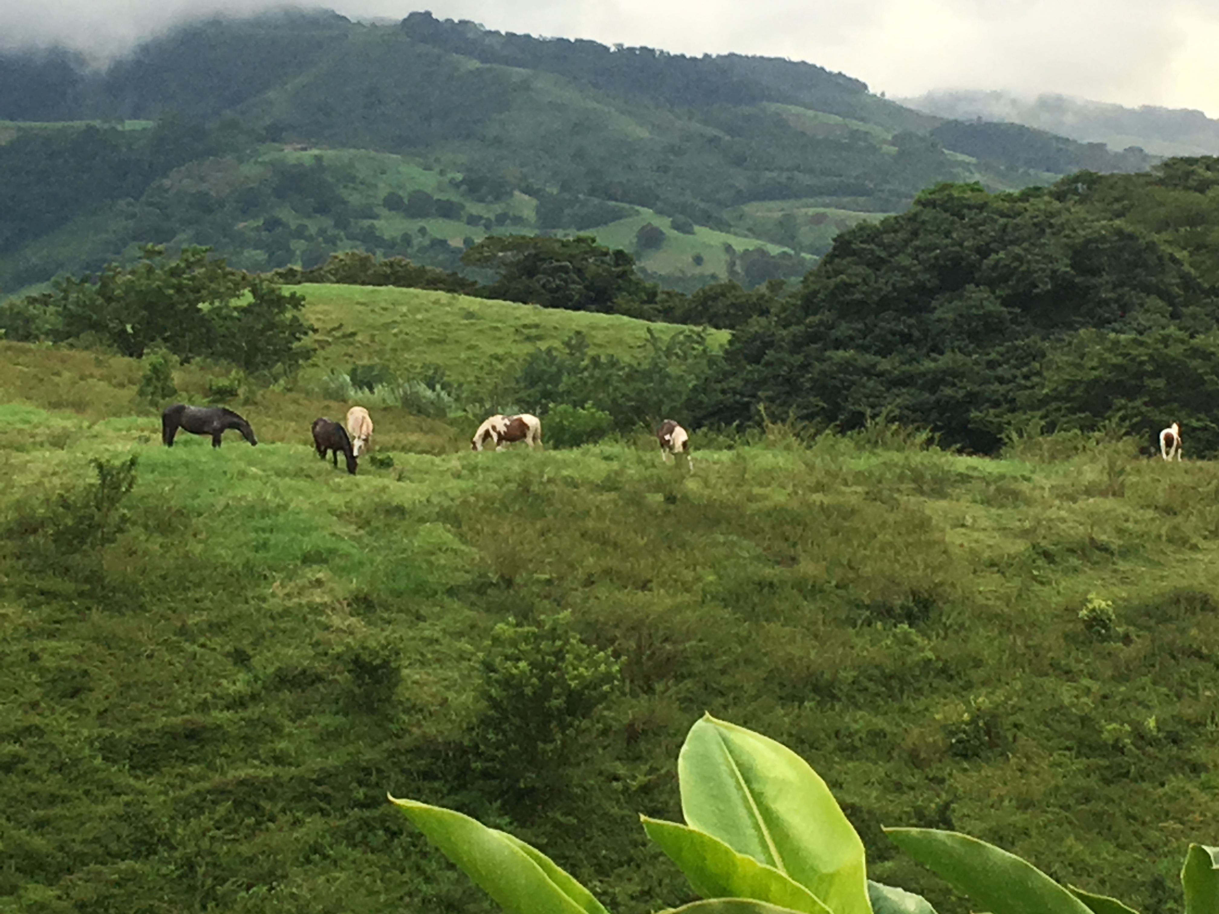 7BDE9BEE-939E-4EB2-8FAC-6570673F18CF