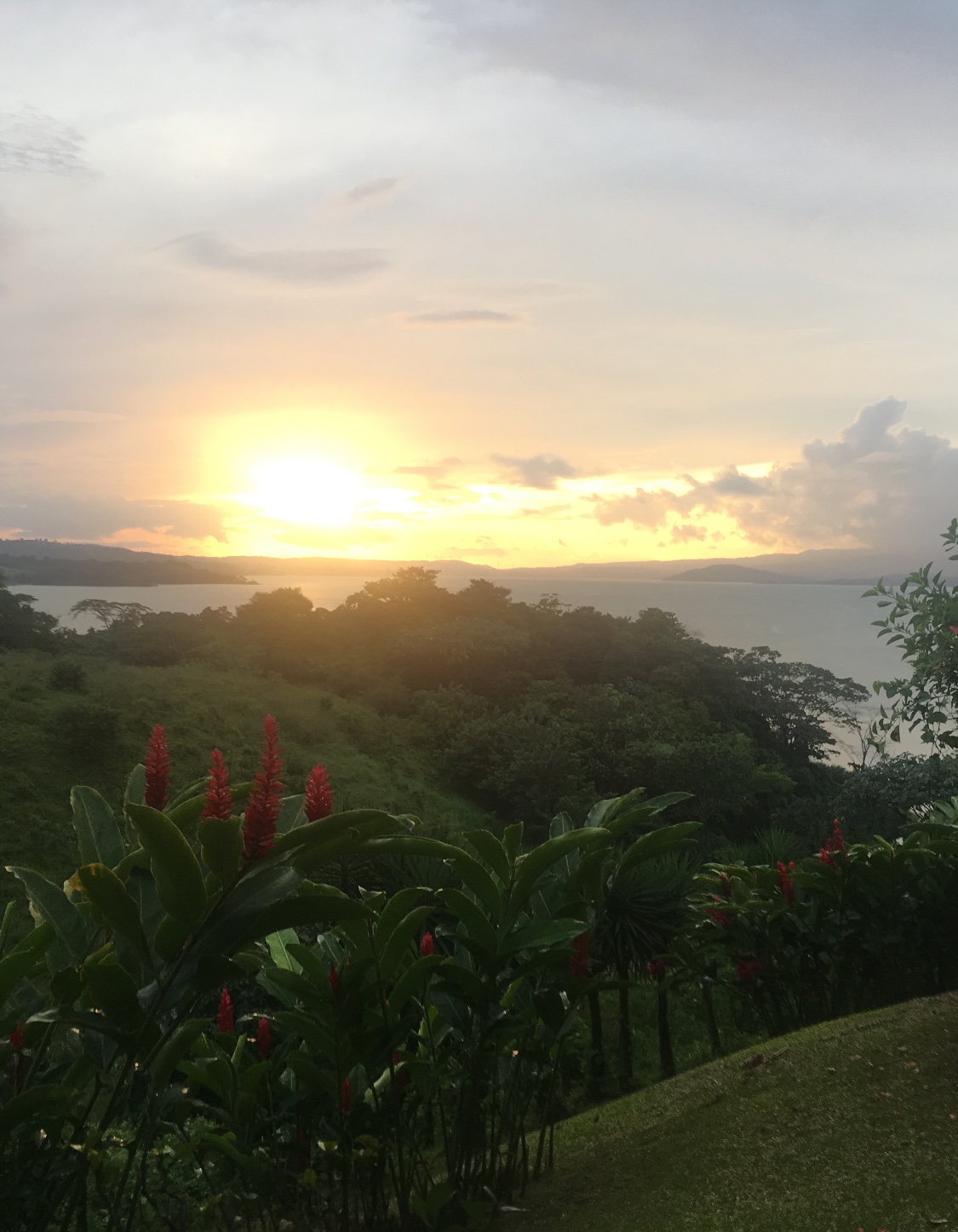 9C428838-8E53-4B46-8587-2F278CF9390A